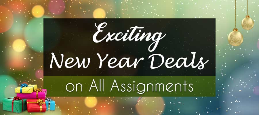 Last Minute New Year Deals on Assignments